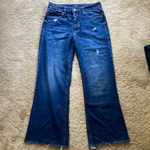 Aero high rise, wide leg jeans